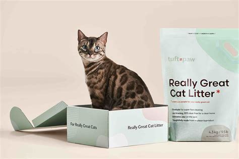 The 5 Best Tofu Cat Litters of 2024 – tuft + paw.